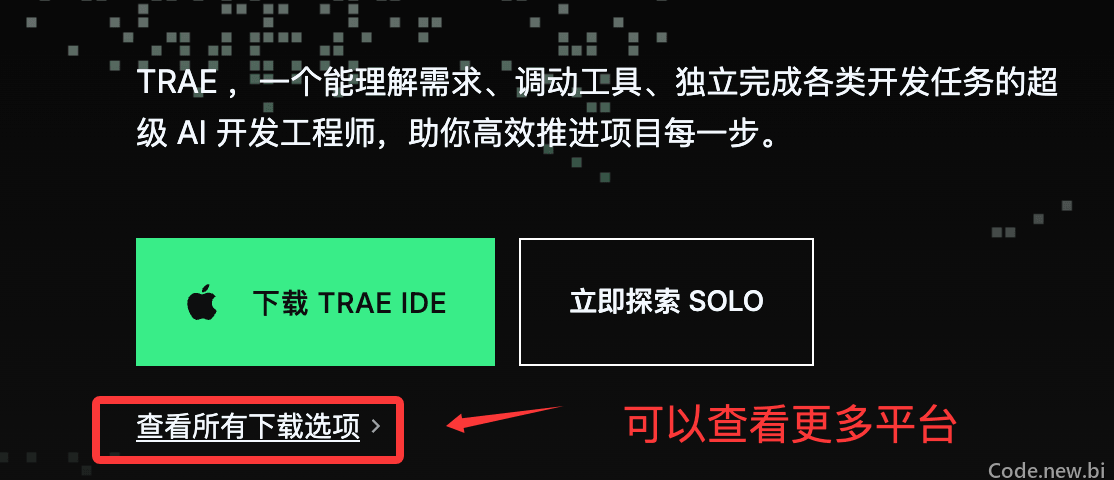 Trae 教程
